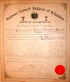 Pavia Council Charter